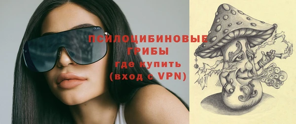 не бодяженный Арсеньев